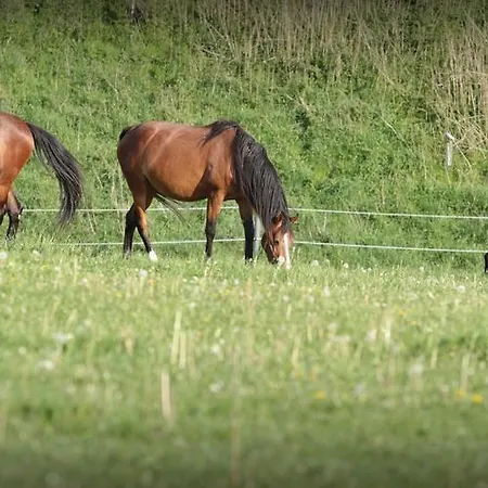 Rothschilduv Dvur Фермерский дом *